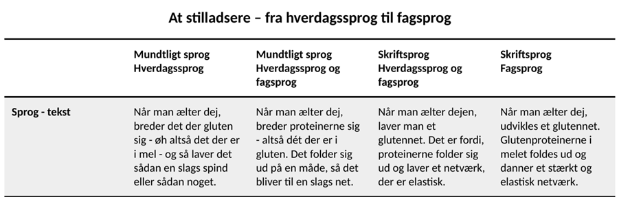 Byg Bro Mellem Elevens Hverdagssprog Og Fagsproget - De 15 Didaktiske ...